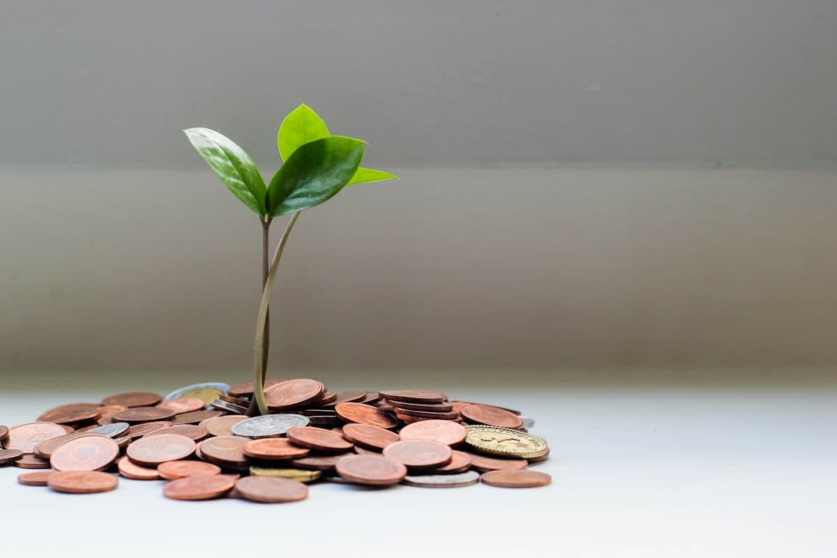 The weight of the lottery has changed — H-1B FY2027 weighted lottery first results, wages decided success or failure